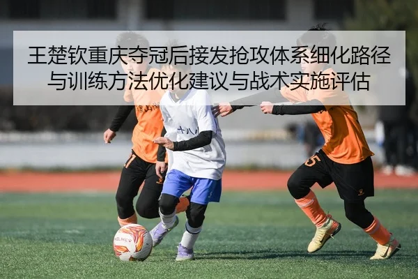 wang-chu-qin-chong-qing-duo-guan-hou-jie-fa-qiang-gong-ti-xi-xi-hua-lu-jing-yu-xun-lian-fang-fa-you-hua-jian-yi-yu-zhan-2-419.jpg